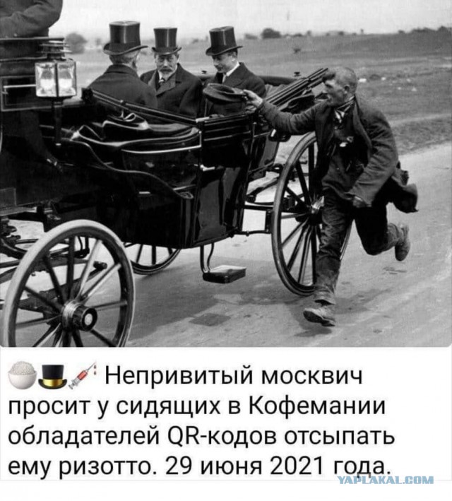В Подмосковье 1 июля могут запретить пользоваться общественным транспортом без QR-кода