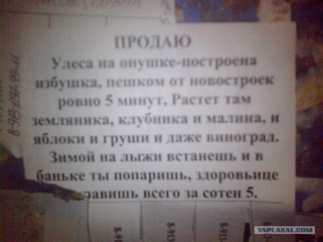 Приколы нашего городка