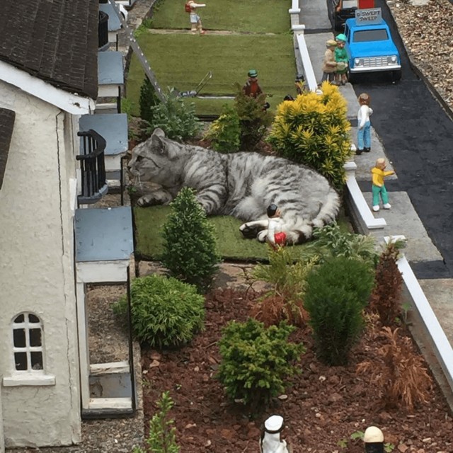 Кот заснул в британском парке миниатюр и стал героем шуток о «гигантском пушистом захватчике»
