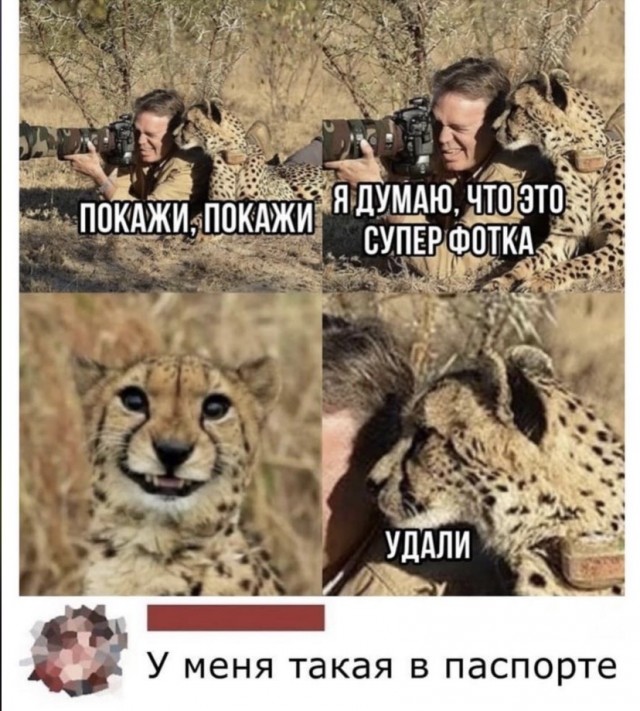 Картинки и мемы для настроения 2021.09.07