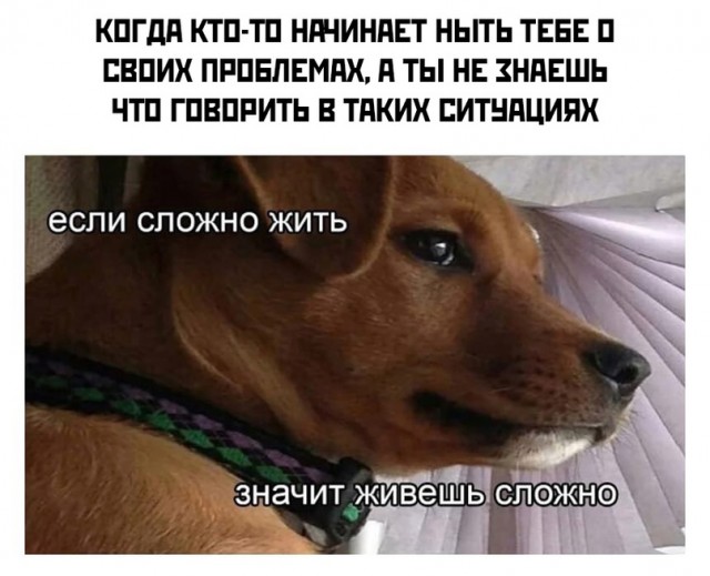 Весёлый полтишок 09.09.