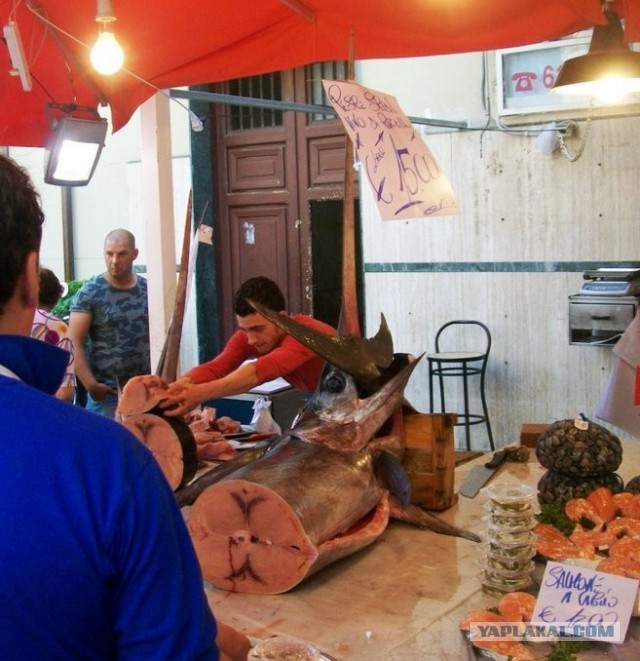 Кулинарная общалка