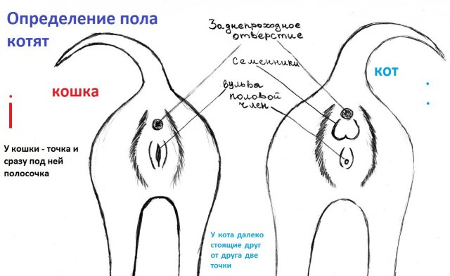 Ребята помогите понять