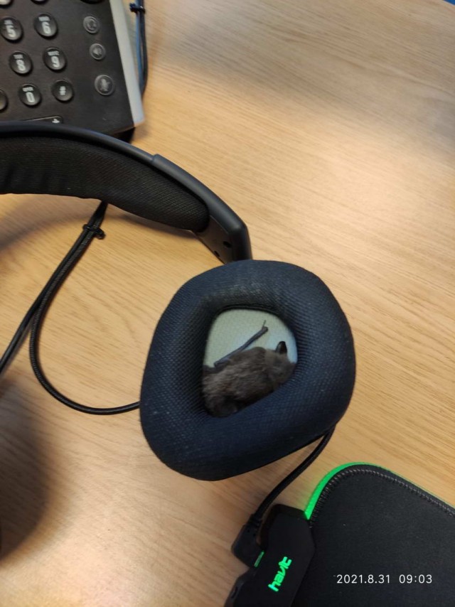 Отовсюду обо всем