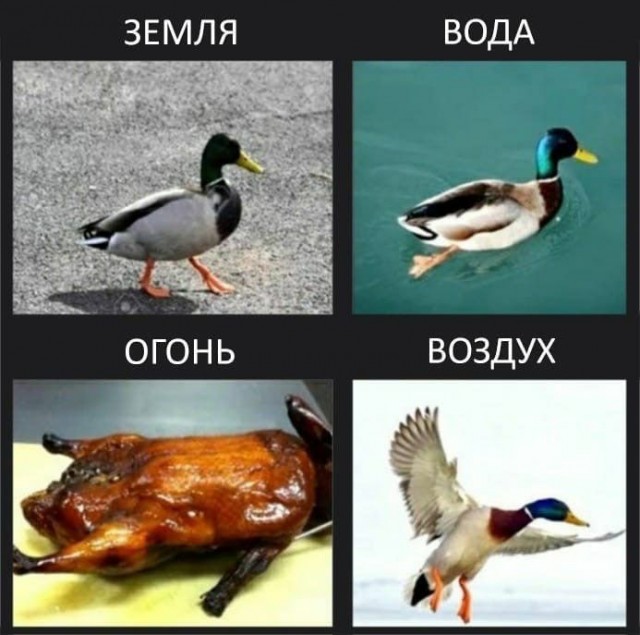 Всяческие картинки 08.11.2021