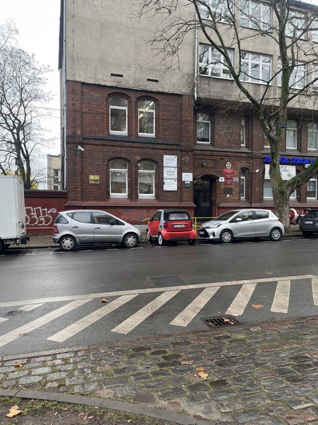 "Купил коту игрушку" и другие картинки
