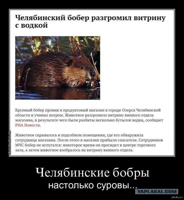 Хитрый эксплуататор!