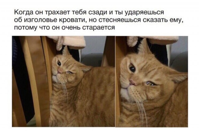 Субботняя чернуха!