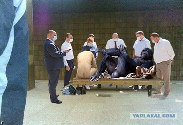 Фотожаба. Фотосессии в стиле ню...