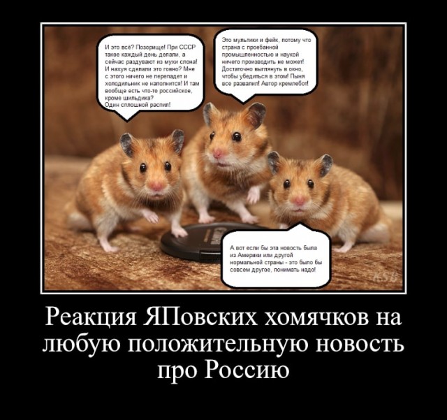 Открыто движение по трансграничному мост через Амур в районе пограничного перехода Благовещенск — Хэйхе