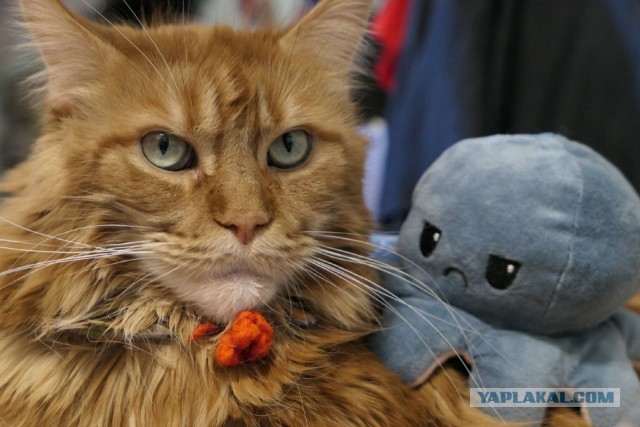 Самый опасный зверь в мире