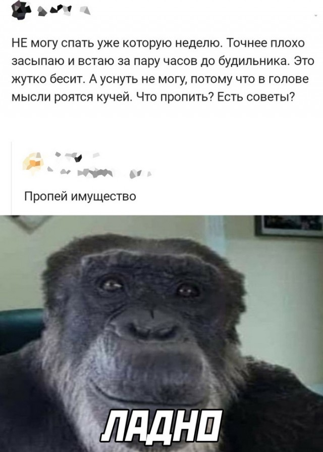 Немного картинок для настроения - 114