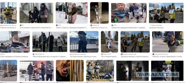 "Защитники" незалежной организовали нарколабораторию в Казахстане