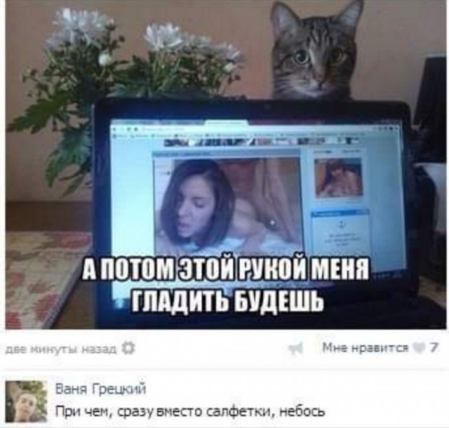 Картинки и мемы, всем хороших выходных