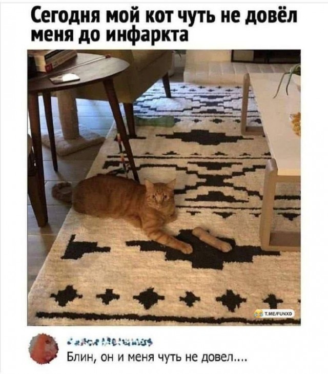 Немного картинок для настроения - 137