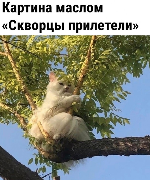 Так себе картинки 02.03.23