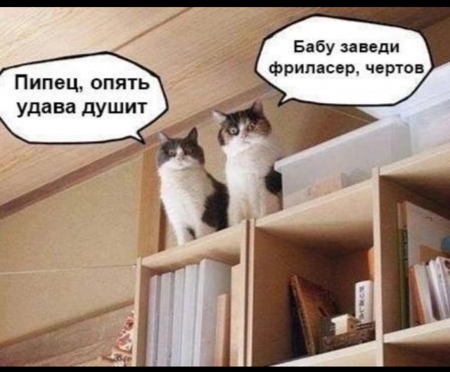 Бабские хотелки и манипуляции