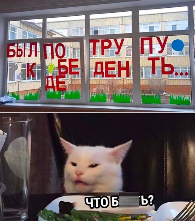 Так себе картинки 14.05.23