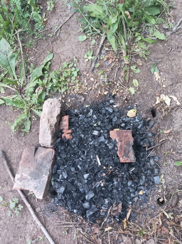 Бросаю штангу, перехожу на водку и пиво