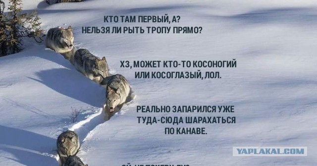В Подмосковье мужик чуть не задушил подростка-"зайца"