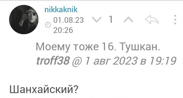 Котовторник! 16+ Коллеги-рабы, отмечаемся, у кого хозяину много лет!