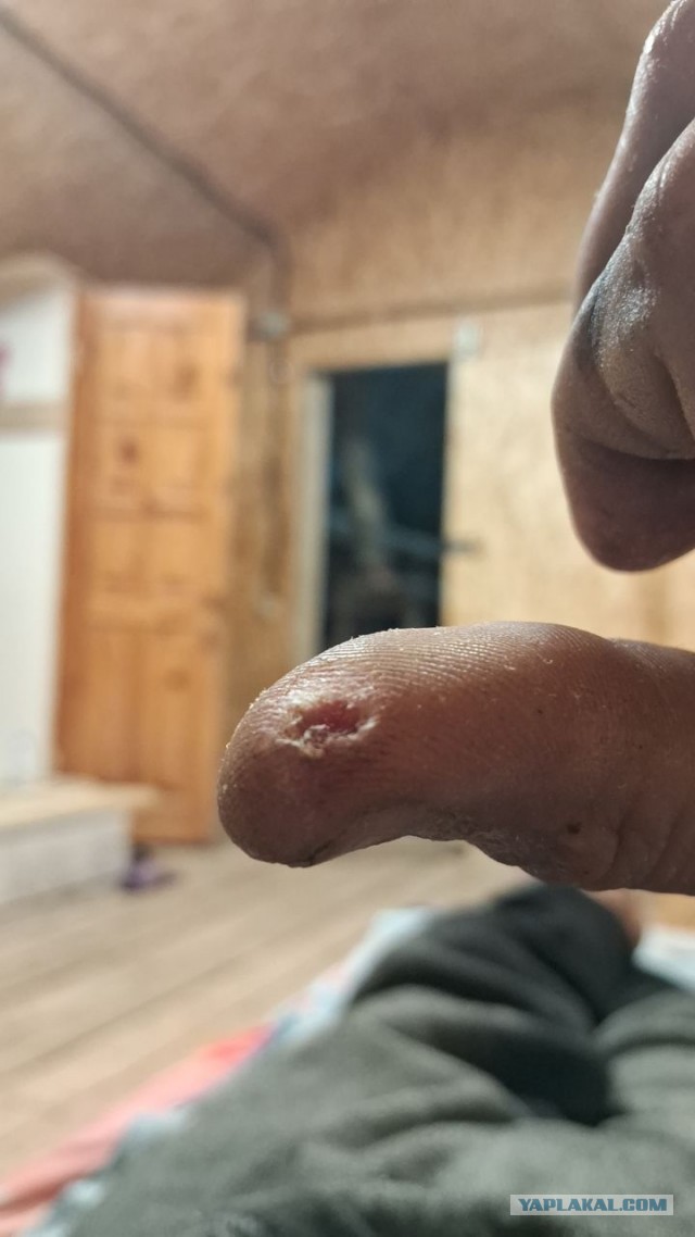Новое от СашиАиста