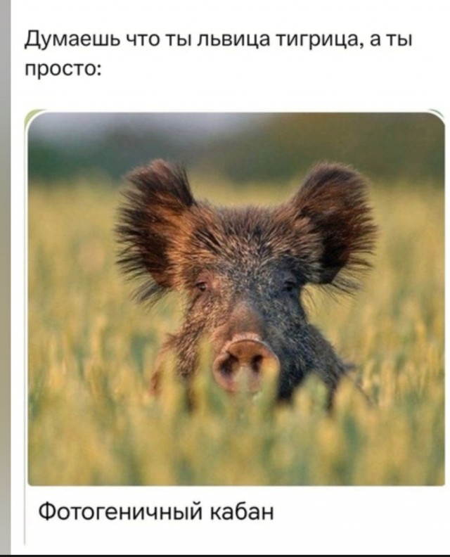 Как жилось лесбиянкам в России: от Древней Руси до наших дней