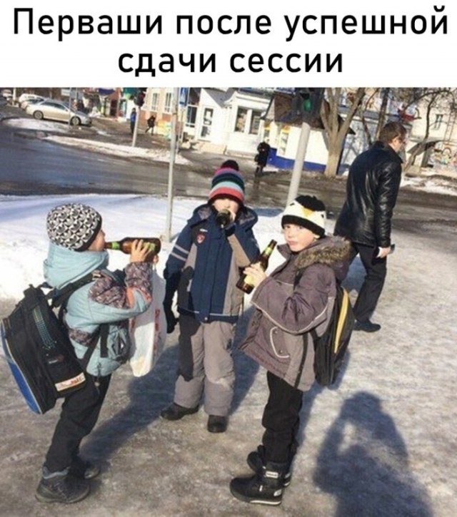 Весёлый полтишок 12.12.2023