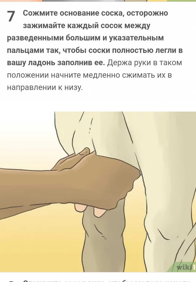 Новый апокалипсис — это поколение зумеров