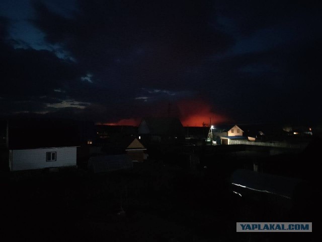 Задержана мэр Кургана