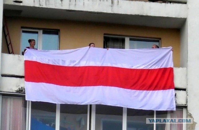Петербуржца доставили в полицию, посмотрев в его окно. Там показался украинский флаг