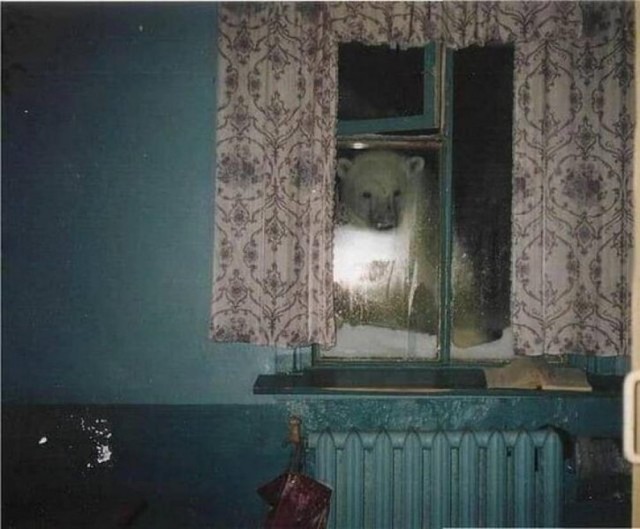 ФотоВинегрет