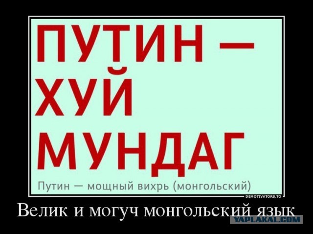 МУС заявил об обязанности Монголии арестовать Путина