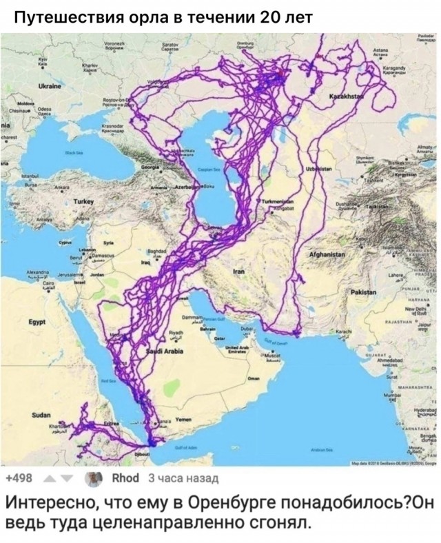 Завалялось тут случайно немного забавных картинок