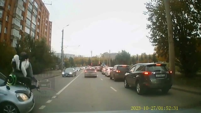 "Что у него с головой? Пошли смотреть!"