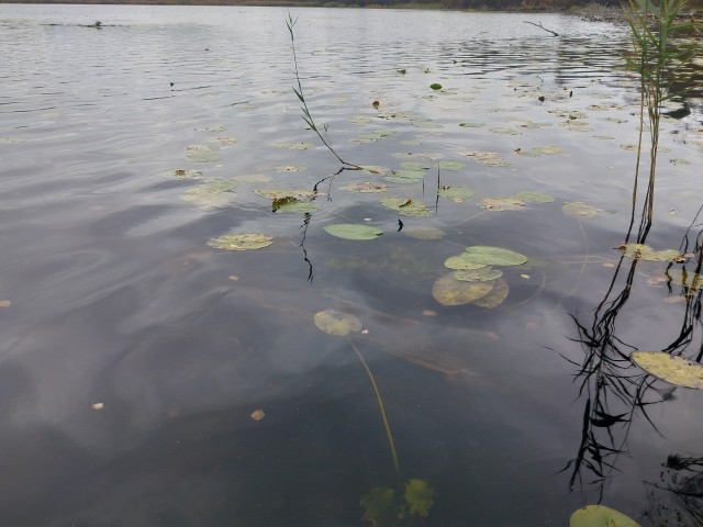 Осень на озёрах 2