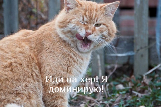 Пришёл домой раньше обычного