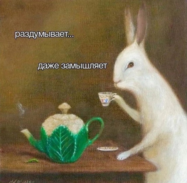 Нуштош 11.10.2024