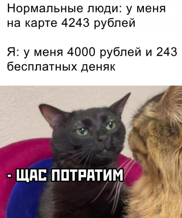 Всего понемногу. От 08.12.24