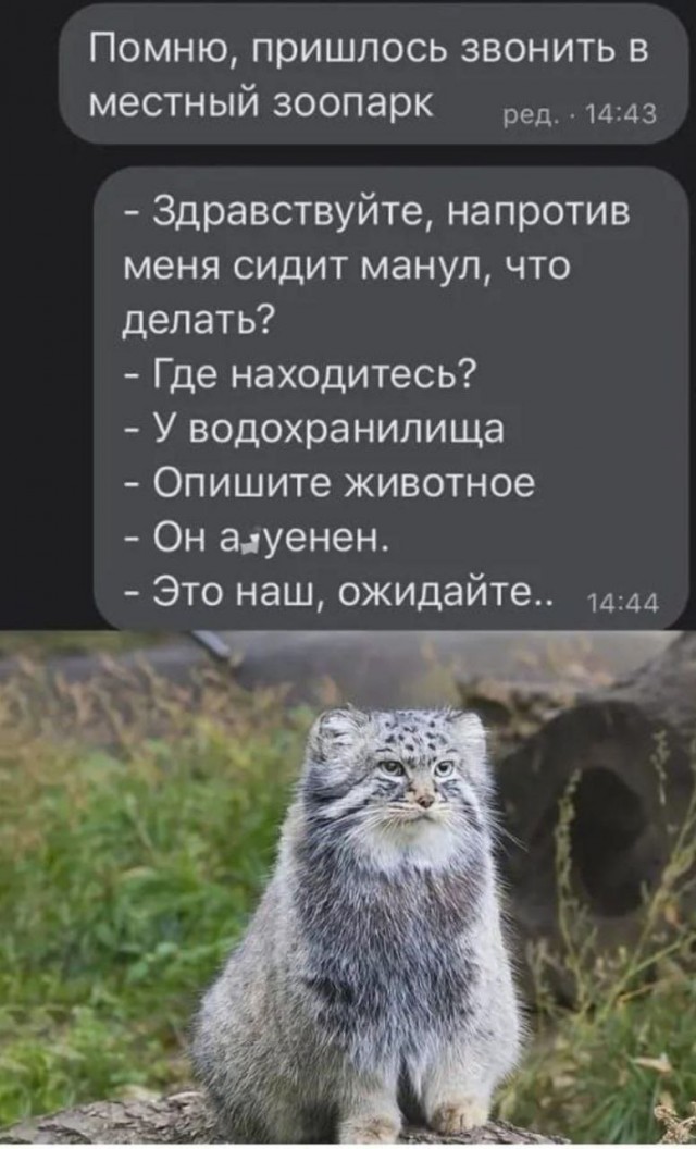 Но... надо!