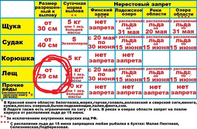 Молодцы ребята - годный контент.