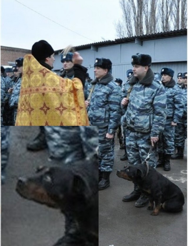 Смешал, но не взбалтывал: 15.03.25