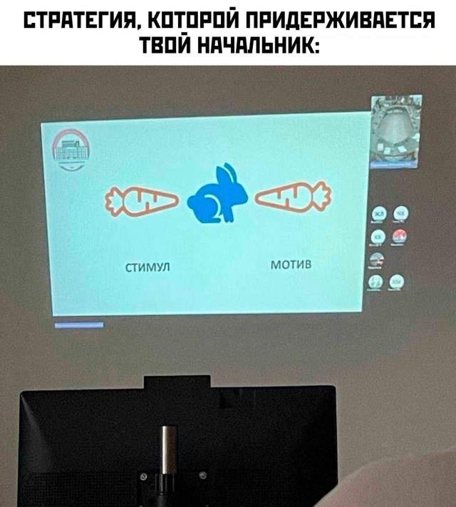 Весёлый полтишок 24.04.25