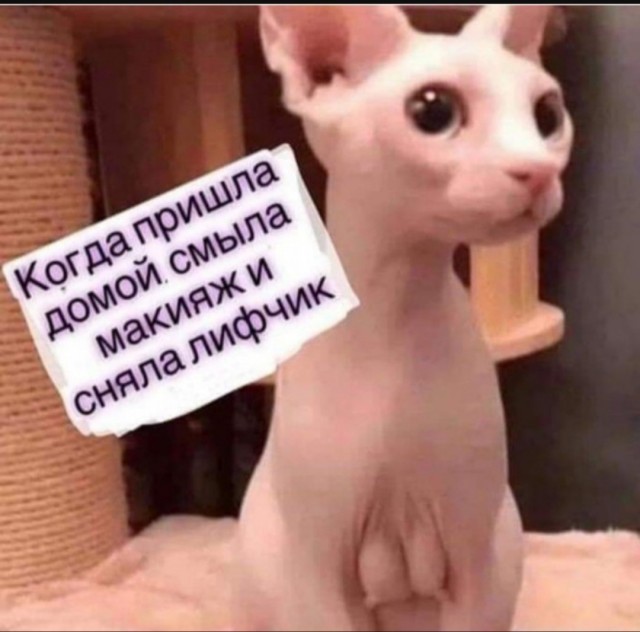 Юмор для тех, кто уже повзрослел и понял, что возраст — это просто дорогое хобби