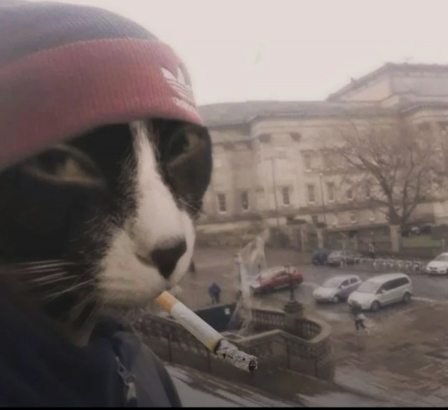 Чутка, совсем немного,