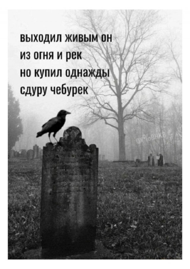 Так себе картинки 21.05.25