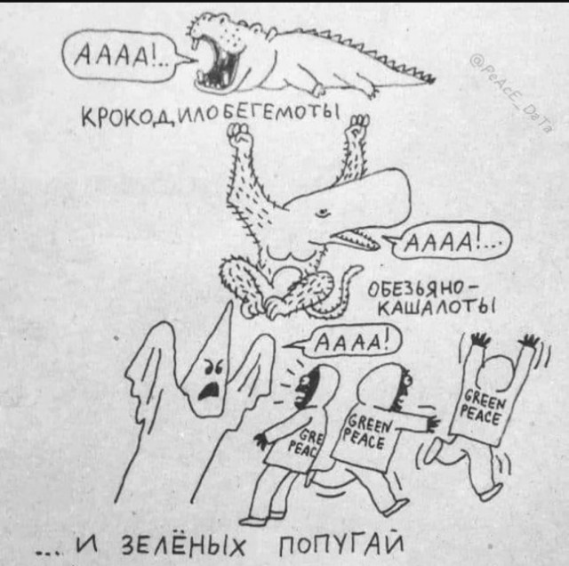 Немного картинок с текстом