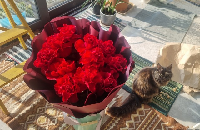 Что характерно, обнаглела