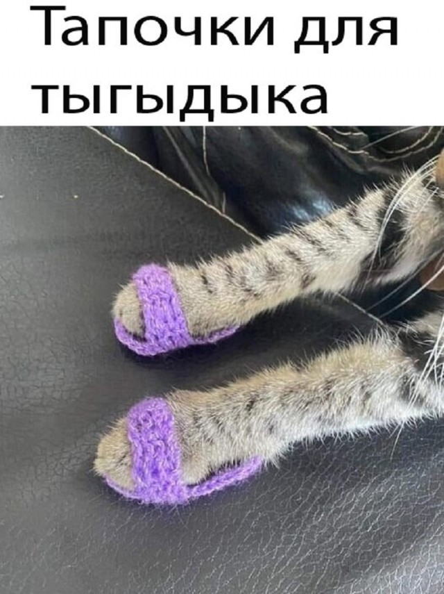Так себе картинки 03.08.25