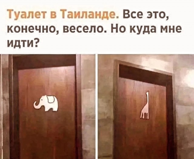 Так себе картинки 22.08.25